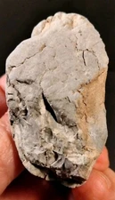 Prehistoric Paleo-American, small Dino egg, rock art sculpture multi tool.