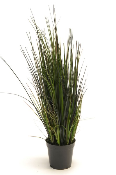 KüNstliches Flussgras, GräSer Im Topf H. 60Cm GrüN Emerald Topfpflanze Wa-image