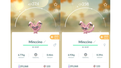  Shiny Minccino (Schillernd Picochilla) Glasses Pokemon GO  Exchange All Options