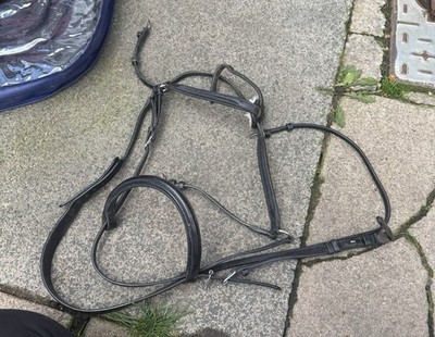 Markenlose schwarze Leder Grackle Trense Reiten Pferd Training