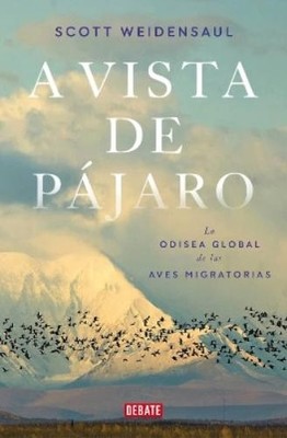 Scott Weidensau A vista de pájaro: La odisea global de (Taschenbuch) (US IMPORT)