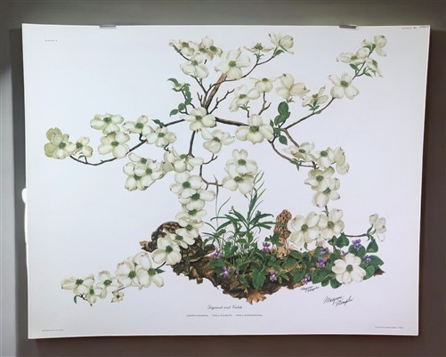 Picture 1 of 9
