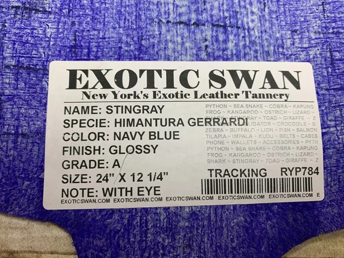 AZUL JUMBO Genuino Piel de Raya Piel Taxidermia Raya Cuero Verde Peludo 794 Foto 3 de 4