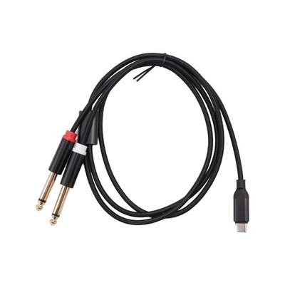 1X(USB-C-Zu-Dual-6,35-Mm-Audio-Stereokabel Typ C-Zu-Dual-6,35-Mm-Audiokabel6930