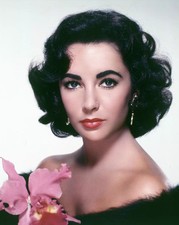 Elizabeth Taylor Sensual 4x6 Picture Celebrity Print