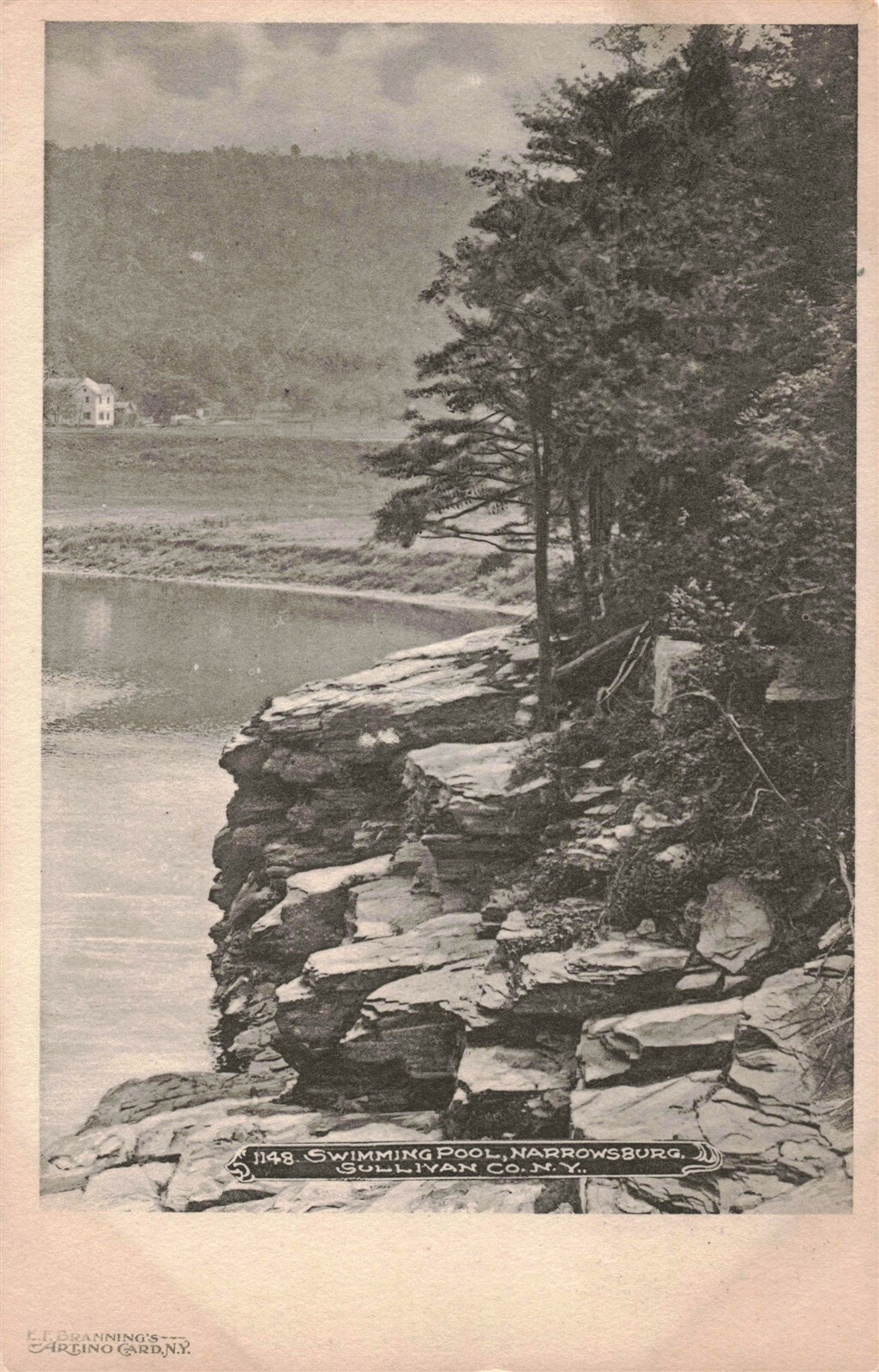 c.190107 Swimming Pool Narrowsburg Sullivan County N.Y. Artino