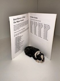 Taboo Nintendo NES Manual Instruction Booklet Authentic