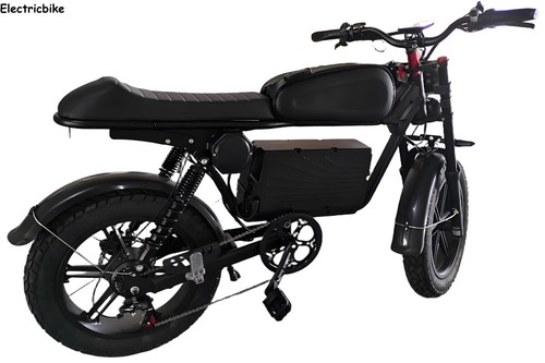 20" Electric bike 48V 20AH Mountain Bike Hydraulic Brakes Black Warrior E-bike - Picture 14 of 14