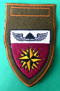 4 SPECIAL FORCES AIRBORNE SEAL SOUTH AFRICA PARA VIKING RAIDER WINGS PATCH