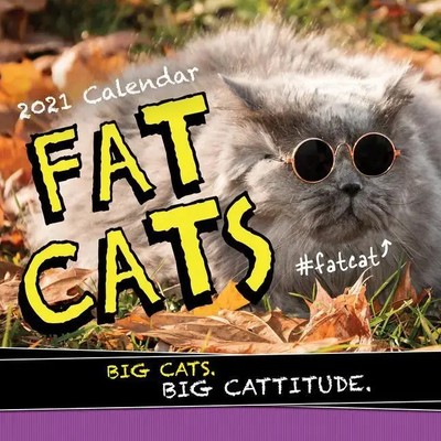 2021 FAT CATS WALL CAL | Sourcebooks | Englisch | Kalender | 2020