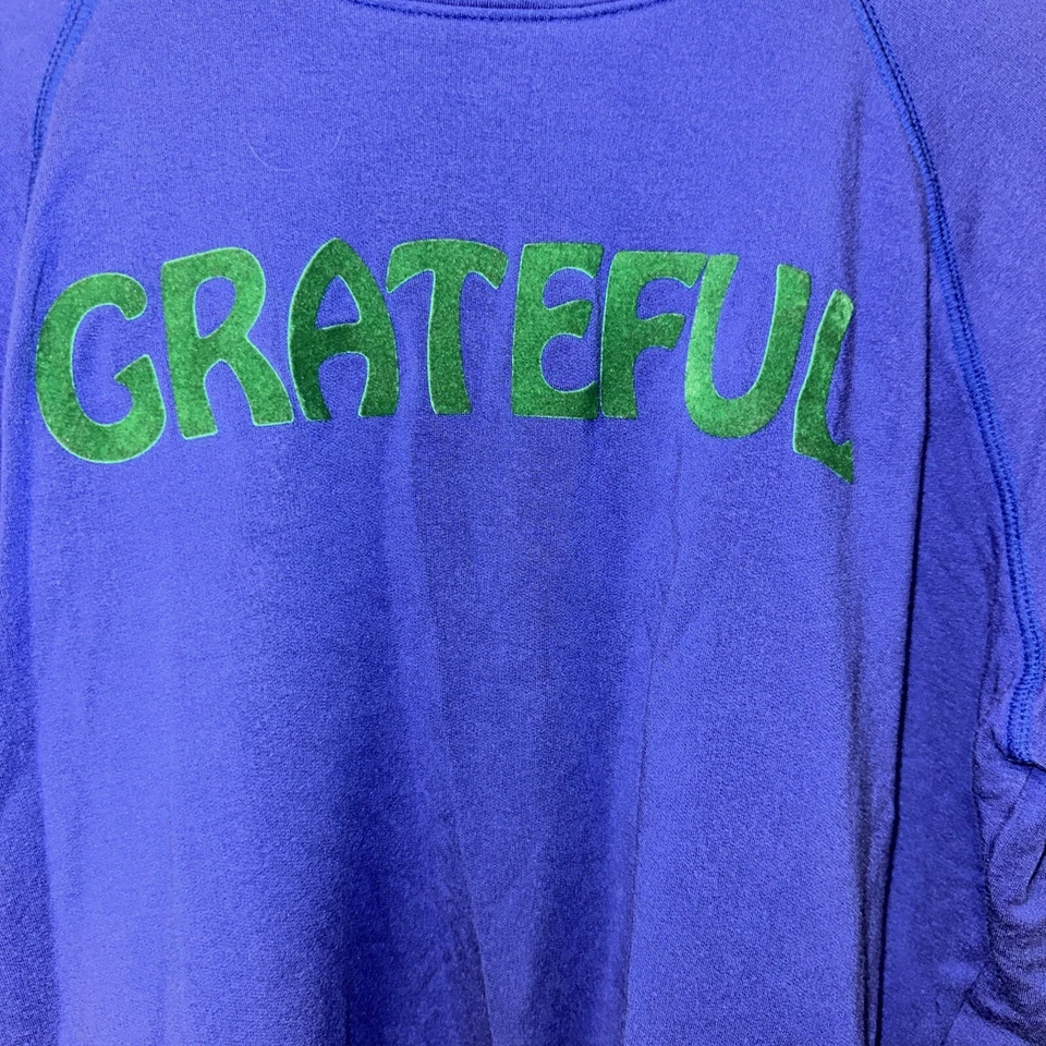 SUNDRY GRATEFUL Sweatshirt Bright Lapis Sze Medium Designer All Season Sold Out - Image 4 of 4