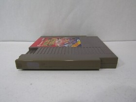 Nintendo NES Double Dragon (Damaged Boxed Complete W/ Manual)