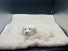 Vintage Wool Puppy Dog Baby Blanket Mid Century Modern Baby Textile — photo 1