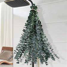 Dried Eucalyptus for Shower Hanging - 17'' Real Large Preserved Eucalyptus Stems