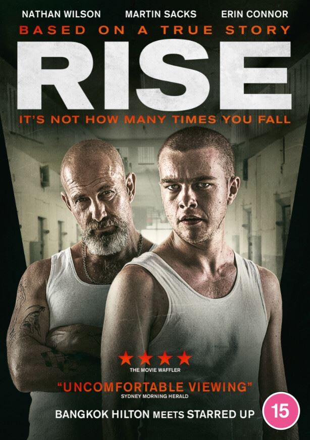 Rise Dazzler - Image 2