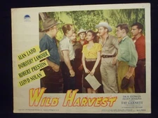 WILD HARVEST 1947 Lobby Card Alan Ladd Dorothy Lamour Robert Preston