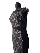 New JAX Lace Overlay Sheath Knee Length Dress- Black/ Cream Size 6