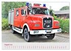Bild 10 von 12