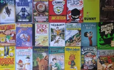RANDOM Lot of 10 BOYS 4th Grade AR Chapter Books RL Level 4.0-4.9 Homeschool