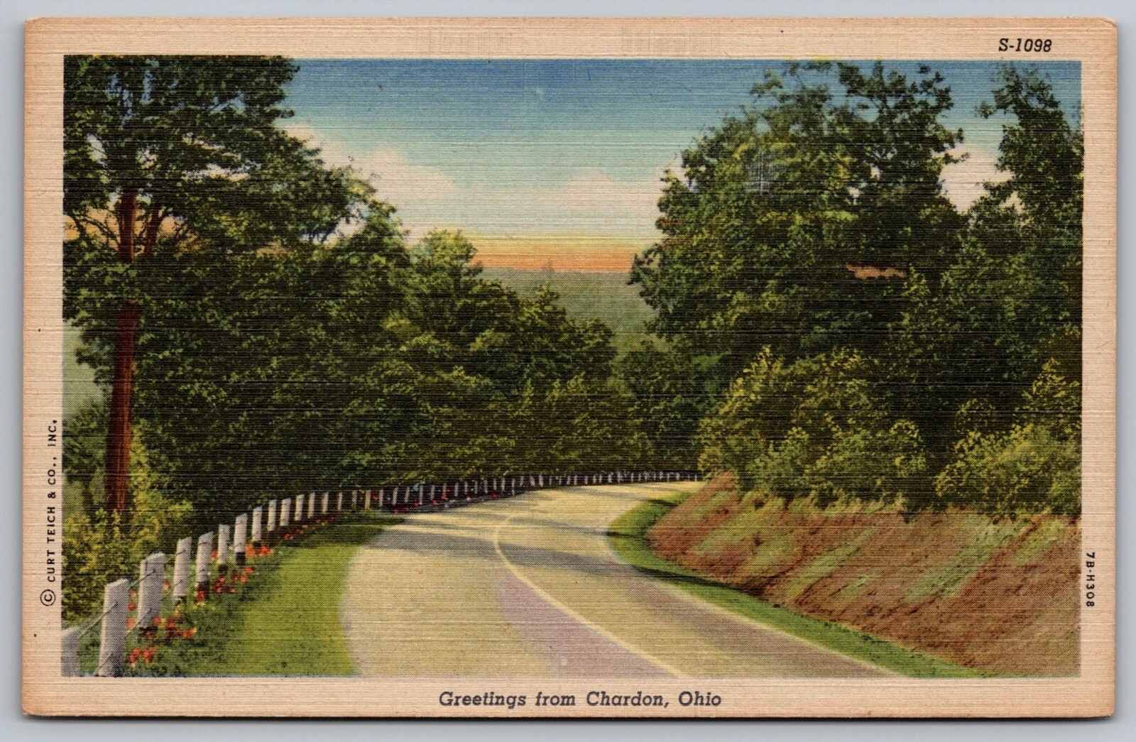 Greetings Chardon Ohio Street View Linen Country Road Forest Vintage