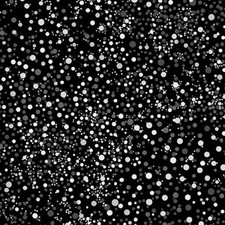 Benartex Needle Stars by Paula Nadelstern 13474 12 Black/White Stardust Cotton