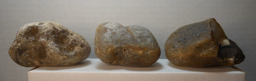 337g Lot of 3 Montana Moss Agate Yellowstone River Lapidary Rocks Stones