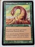 Tunneler Wurm - Judgment - Magic the Gathering MTG Nice!