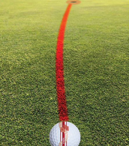 Neue 2025 Volvik Blue Snake Jahr Golfbälle Dutzend - Bild 10 von 11