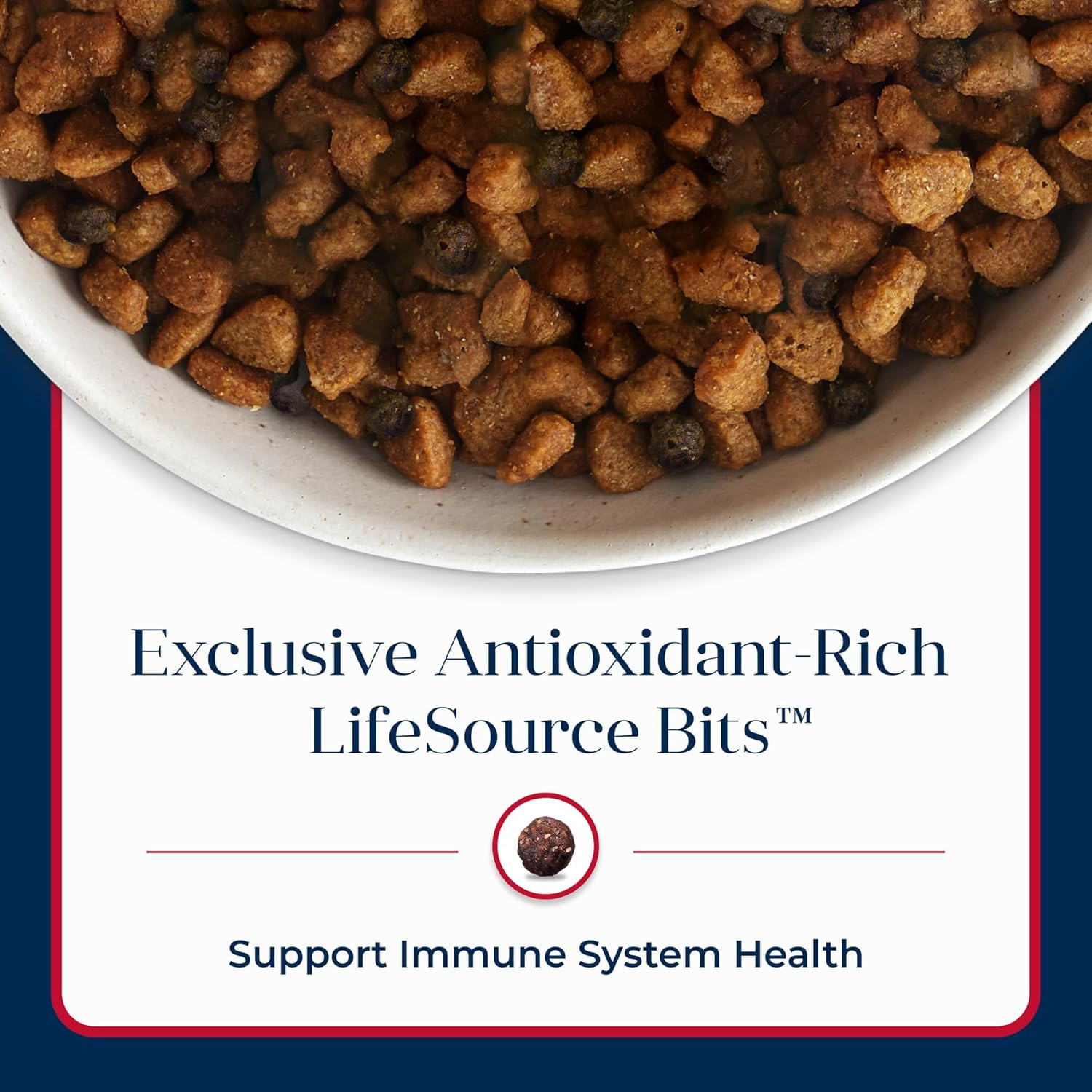 Basics Grain-Free Dry Dog  for Adult Dogs, Limited Ingredient Diet, Salmon Recip