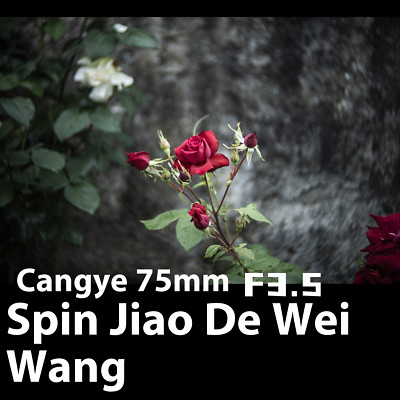 75mm F3.5 Swirly Bokeh Lens Anamorphic Suitable for all camera mounts