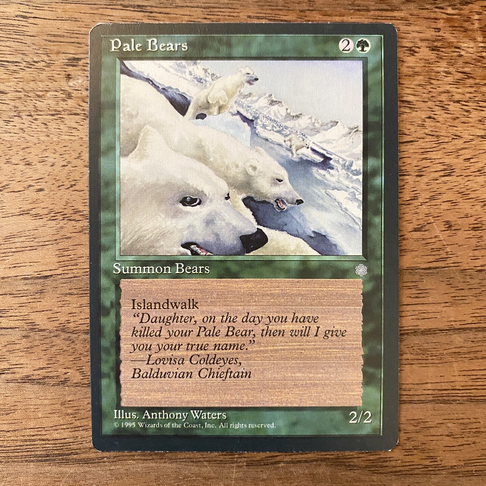 Pale Bears Ice Age NM+ NEVER PLAYED MTG Magic 1995 VINTAGE FAST SHIPPING