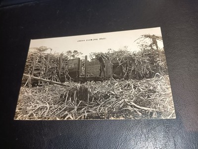Loading Sugar Cane, HAWAII, USA RP