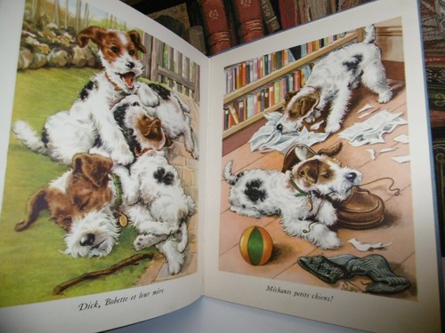 Nos jolis petits chiens - W.Martin - Fernand Nathan 1958 - Jeunesse - Bild 2 von 3