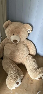 53 teddy bear costco