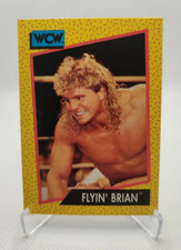 1991 Impel WCW #58 Flyin Brian Pillman Wrestling Card