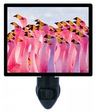 Tropical Decorative Photo Night Light, Flamingo Party
