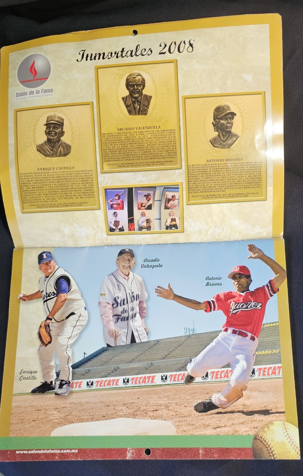 Calendario 2009, Salon De La Fama Del Beisbol Profesional De Mexico. Inmortales.