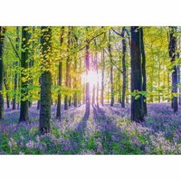 Schmidt Spiele Puzzle Zarte Glockenblumen Im Wald Erwachsenenpuzzle 1000 Teile