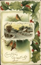 CHRISTMAS bird snow farm bridge snow holly ~ c1910 embossed postcard