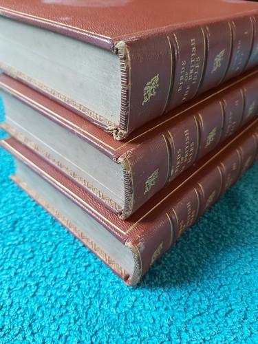 Wayside & Woodland Birds, Series 1, 11 and 111, RARE set, re-bound in leather - Picture 6 of 24