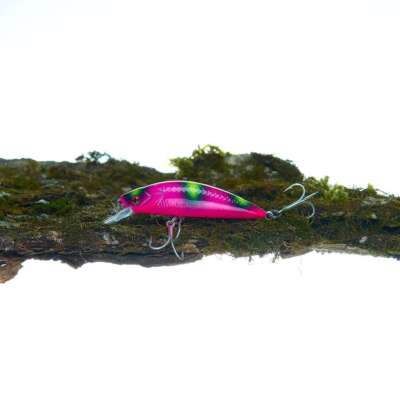Minnow Wobblers Sinking 55 Mm 6 2 Gr Trout Tune Fishing  Walleye Uv New
