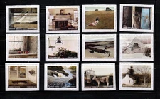 Scott #  5212  US  Andrew Wyeth  12 Stamps  M/NH OG  Free Ship