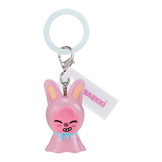Stray Kids SKZOO POPUP Mejirushi Accessories GASHAPON official