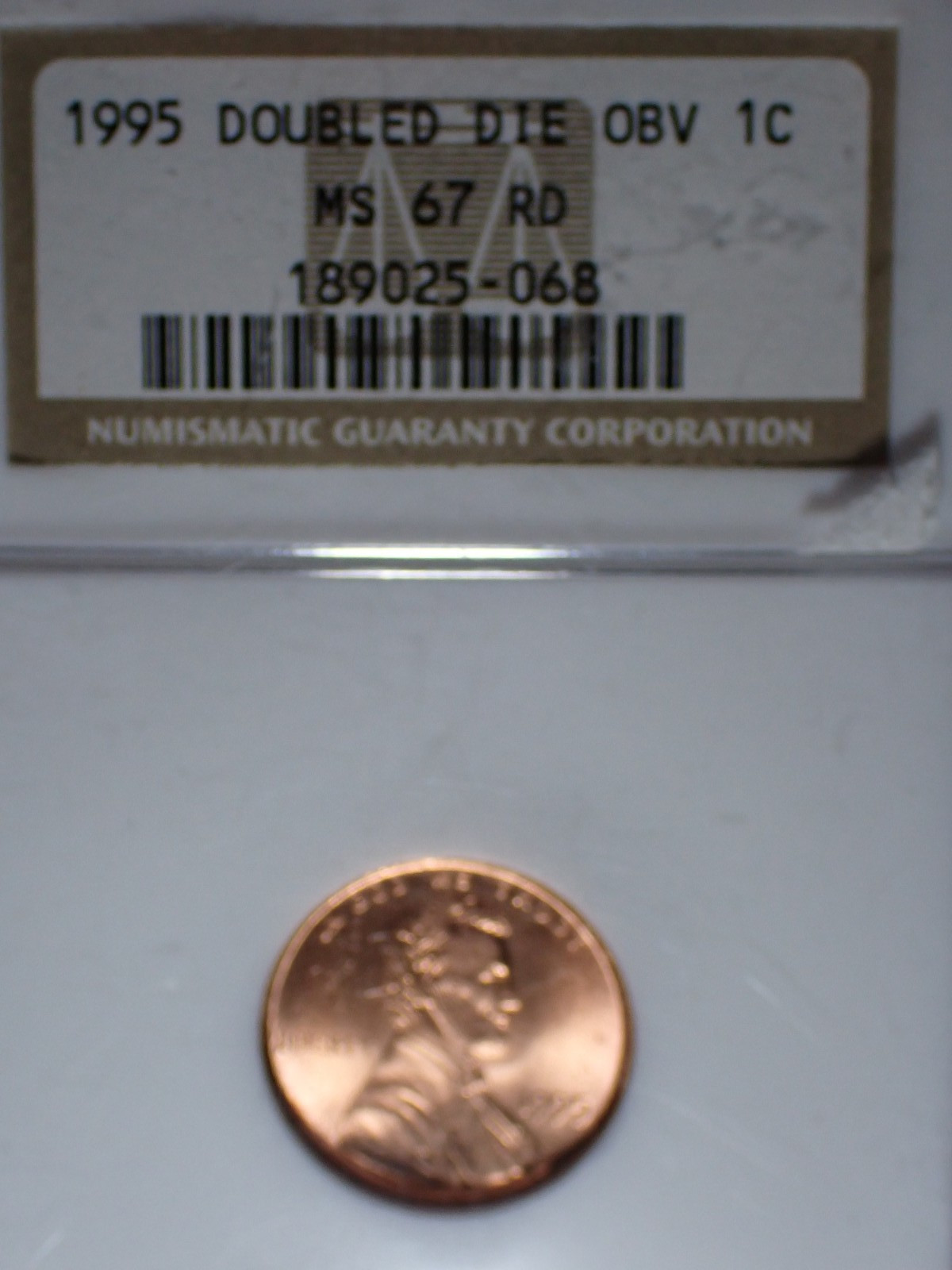 Picture 3