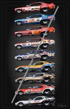 Tom "The Mongoose" McEwen Cars Poster, FREE SHIPPING (091)