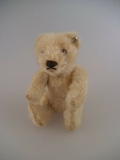 selten & gesucht Steiff Original Teddy weiß 1950 - 1964 (2587)