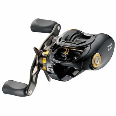 Daiwa MORETHAN PE SV 8.1R TW Baitcasting Reel | eBay