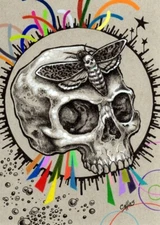 Death Head Hawk Moth Hawkmoth Skull Dark Punk Wall Art Print Drawing Painting
