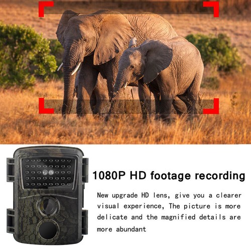 Wildlife Trail Camera 1080P Game Night Vision Outdoor Motion Hunting Cam 32GB TF - Picture 4 of 14