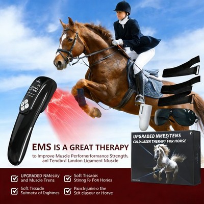 Cold Laser Treatmen  Red Light Therapy Device For Horse Arthritis Pain Relief
